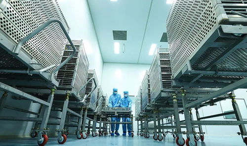 科技賦能植物工廠，張掖農(nóng)特產(chǎn)品提質(zhì)增效